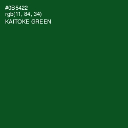 #0B5422 - Kaitoke Green Color Image